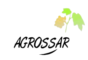 logo agrossar